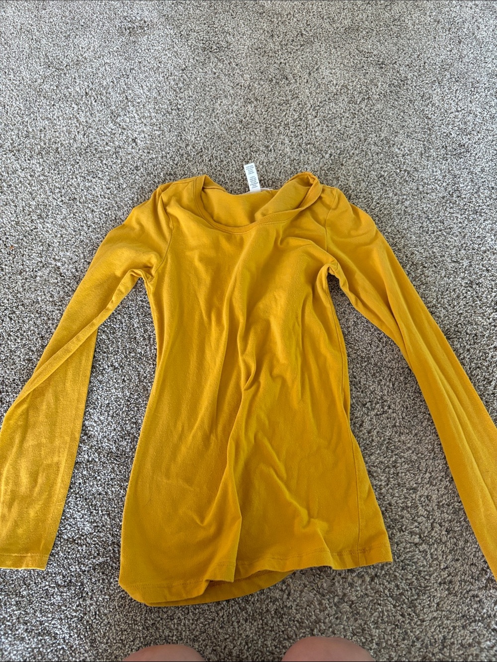 Ambiance Women's Long Sleeve Scoop Neck Top - Mustard